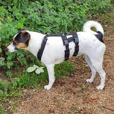 anny.x SAFETY harness