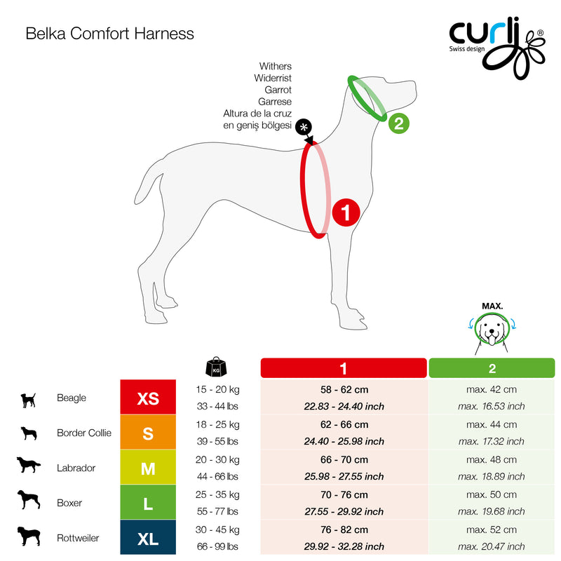 Curli online belka harness